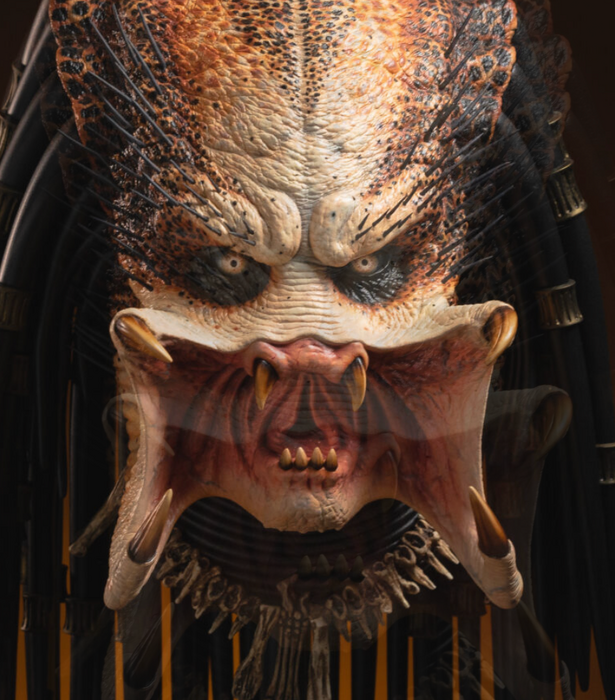image.thumb.png.7419712f68932386287cdf6880042db9.png