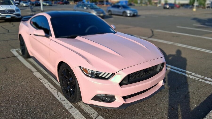 Pink Mustang_2026-09-12 v1.jpg