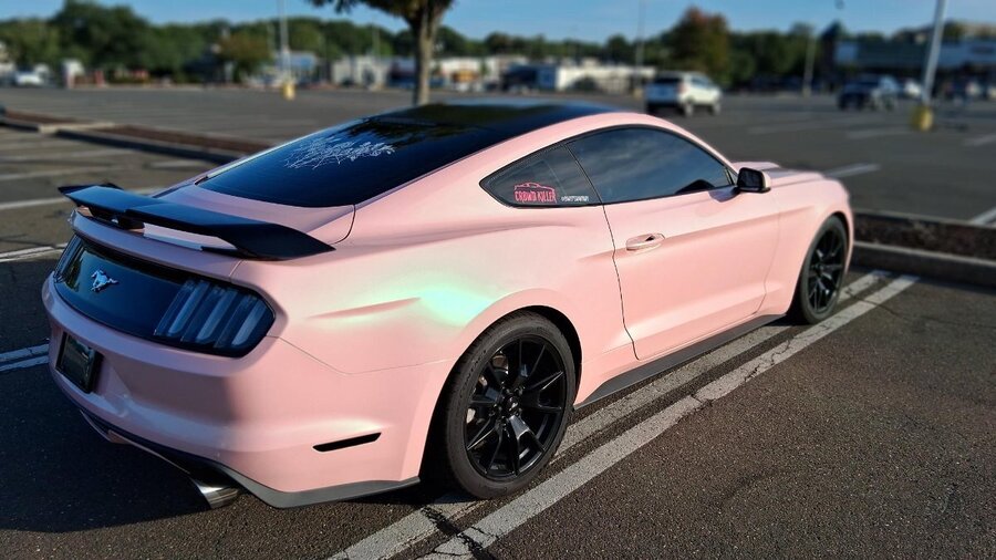 Pink Mustang_2026-09-12 v3.jpg